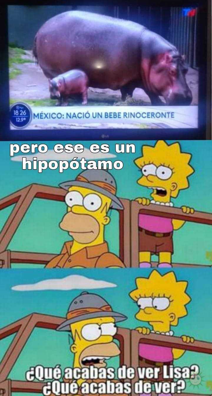 ¿Qué acabas de ver Lisa?