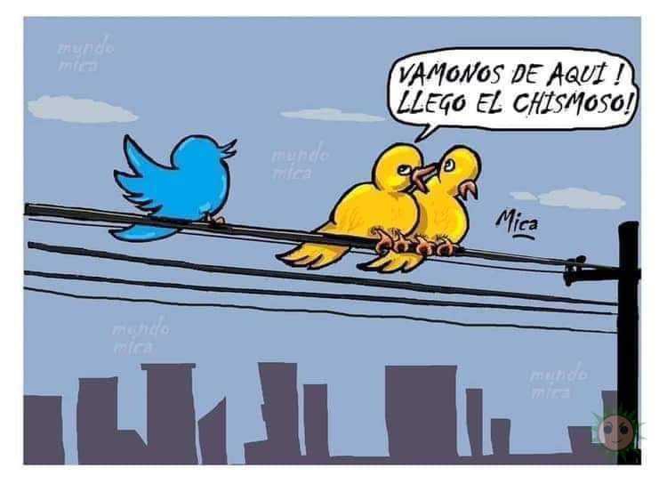 El chismoso de Twitter