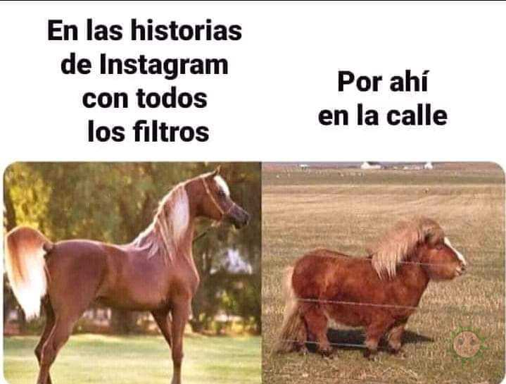 Los filtros de instagram