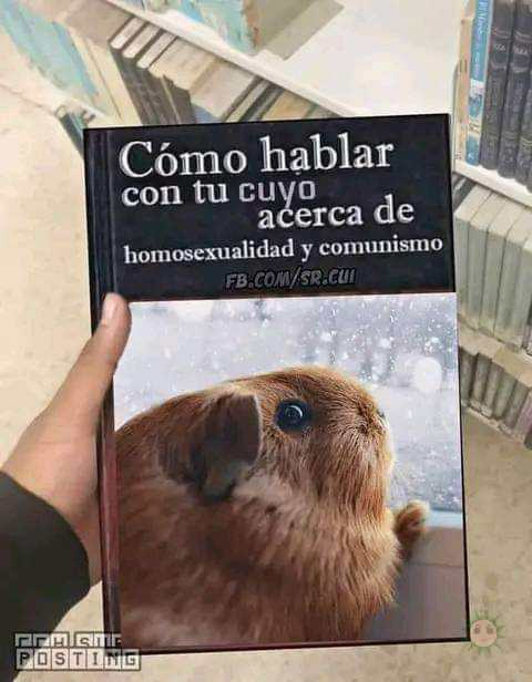 El libro que necesitas