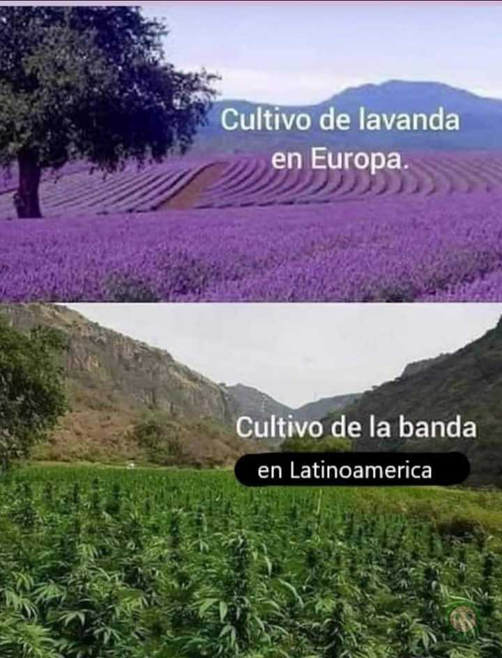 Diferencias 