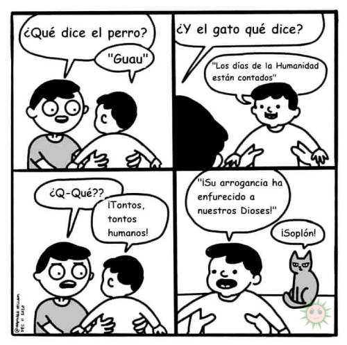 Qué dice el gato?