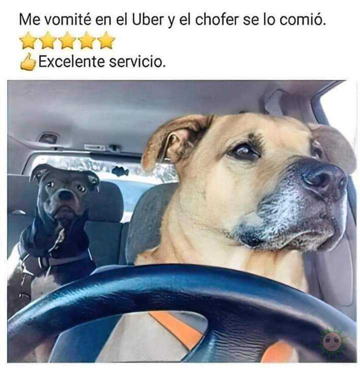 Asi da gusto viajar 