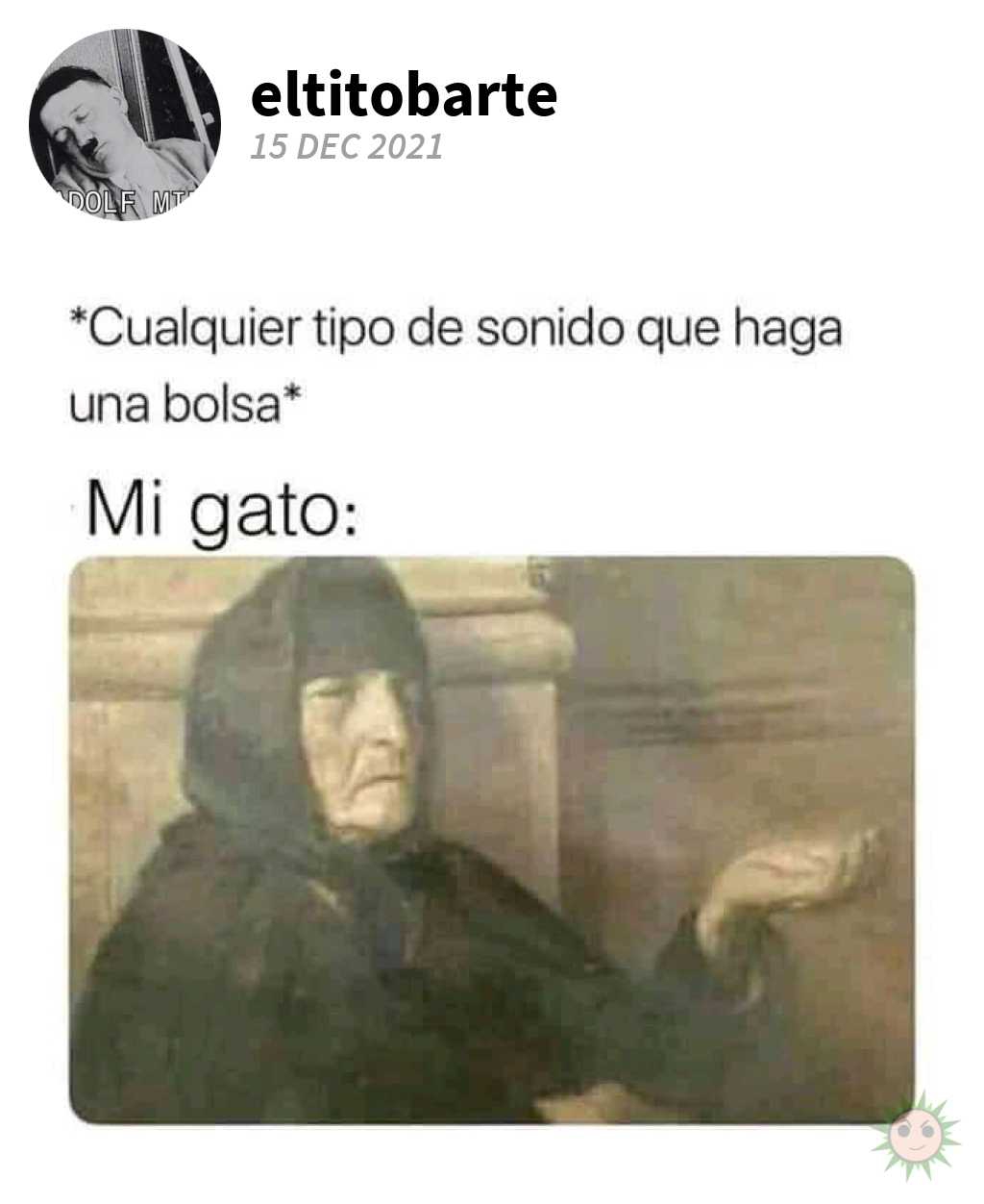 El pobre mendigo de mi gato