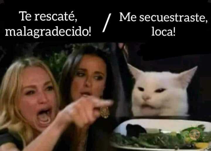 Tipico de los gatos